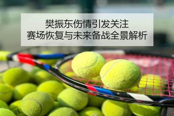 樊振东伤情引发关注 赛场恢复与未来备战全景解析