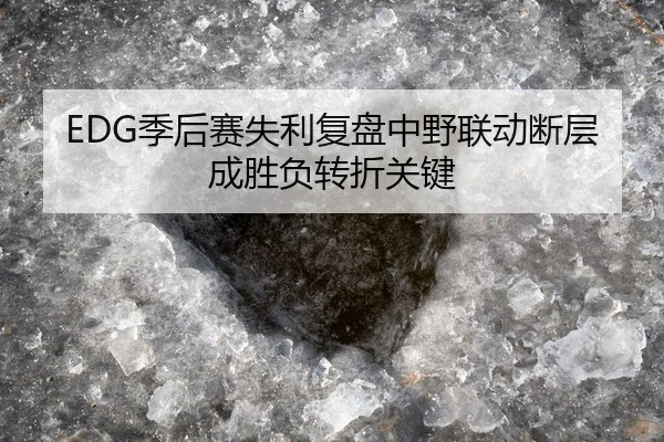 EDG季后赛失利复盘中野联动断层成胜负转折关键