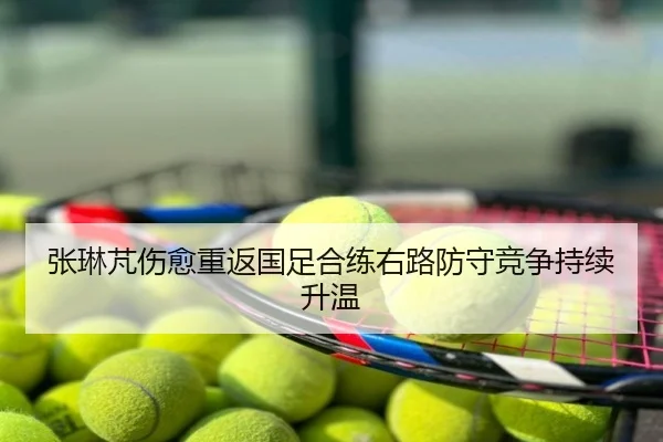 张琳芃伤愈重返国足合练右路防守竞争持续升温