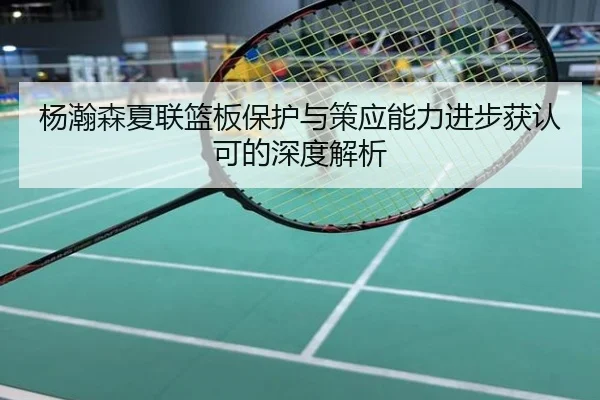 杨瀚森夏联篮板保护与策应能力进步获认可的深度解析