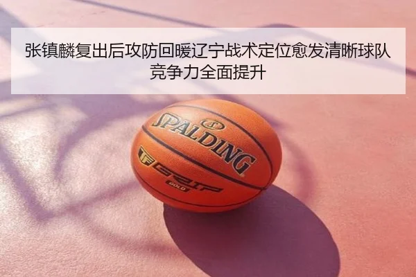 张镇麟复出后攻防回暖辽宁战术定位愈发清晰球队竞争力全面提升